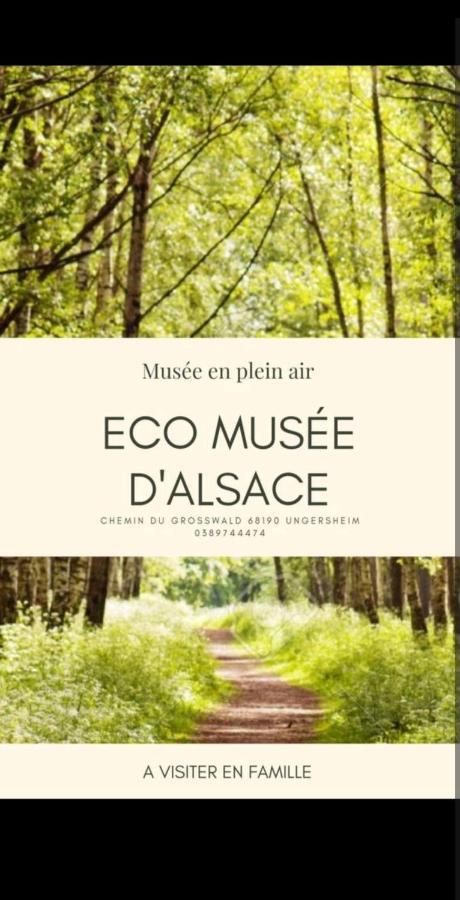 Sweet Home Mulhouse Ngoại thất bức ảnh